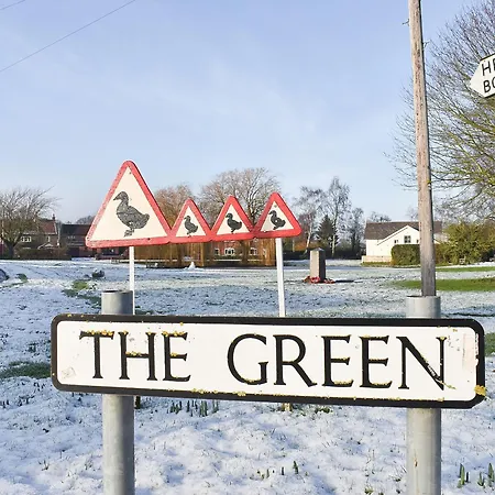 بيت للعطل Duck *