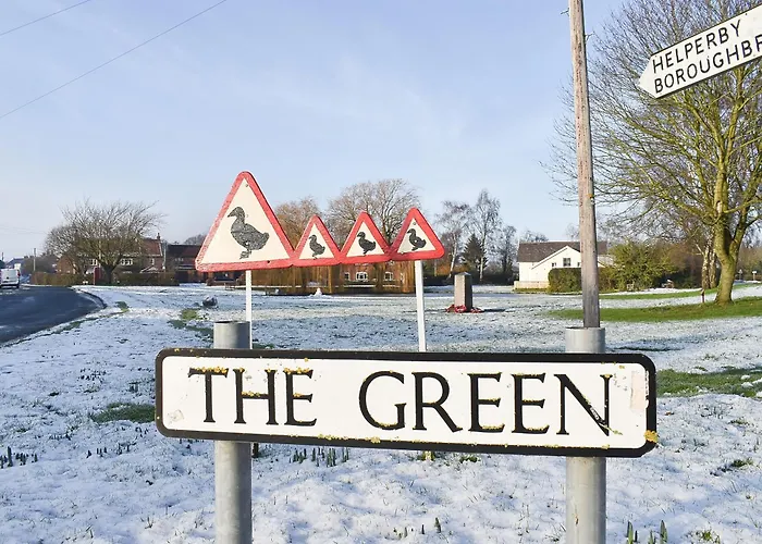 بيت للعطل Duck *