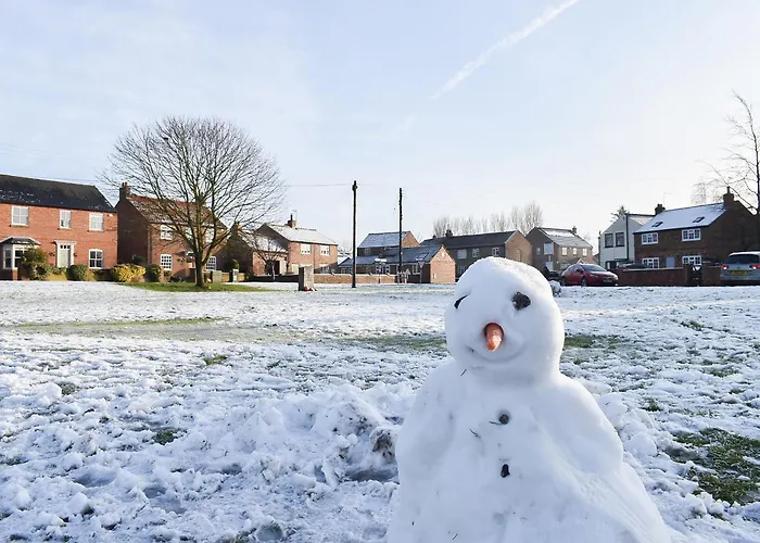 بيت للعطل Duck *